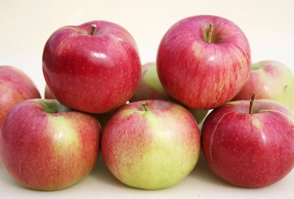 تصویر 5 از فروش سیب درختی درجه یک + قیمت خرید به صرفه